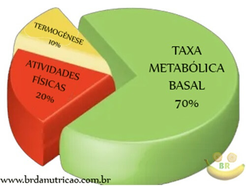 o que é Taxa Metabolica Basal tmb?