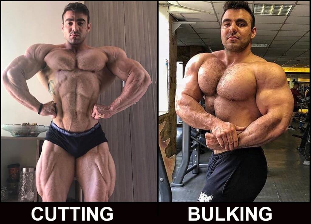 Por qual começar: 1º pelo Bulking ou Cutting? - Foco, Força e Músculos