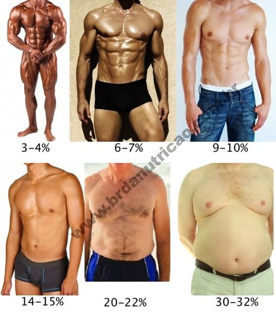 percentual de gordura masculino