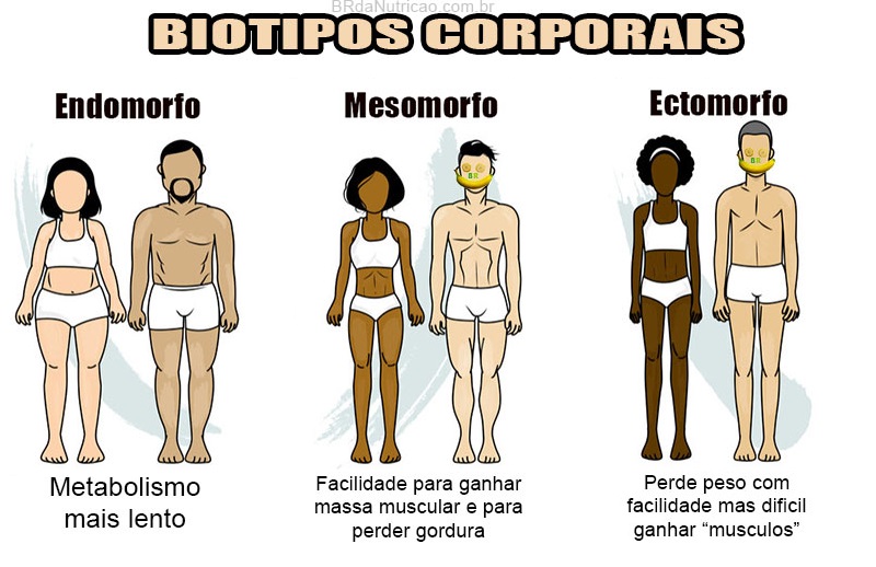 biotipo corporal