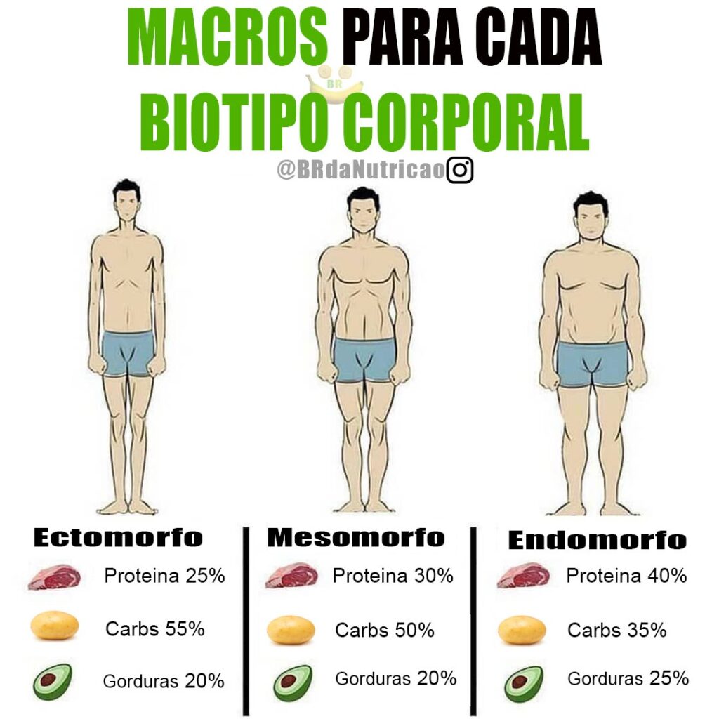 macronutrientes para cada biotipo corporal