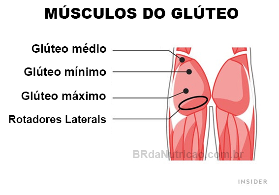 musculos do gluteo